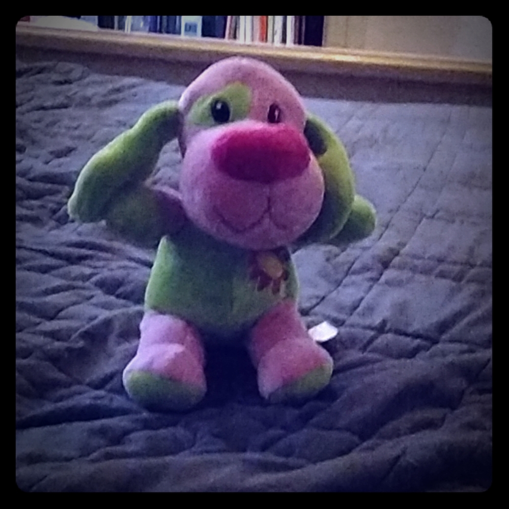 Watermelon Daisy puppy